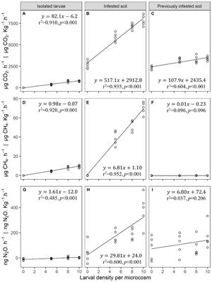 Larvae of an invasive scarab increase greenhouse gas emissions from soils and recruit gut mycobiota involved in C and N transformations